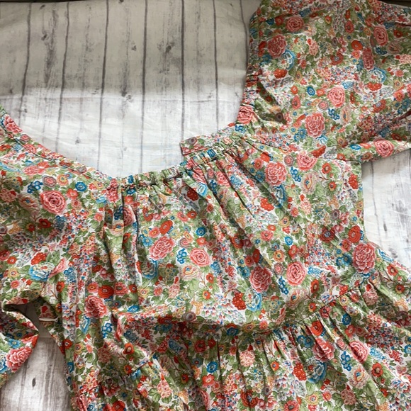 NWT Roller Rabbit Elysian Day Zara Puff Sleeve Poplin Dress - Picture 13 of 14